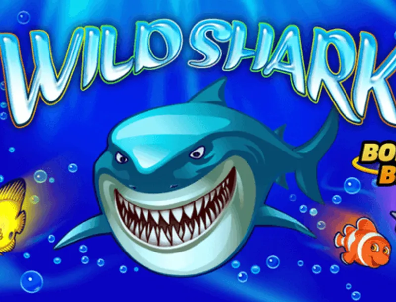 Wild Shark Vavada